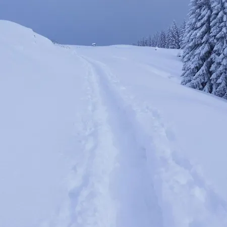 Bergfrieden * اوبرستوفن