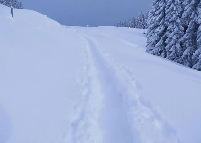 Bergfrieden * Oberstaufen